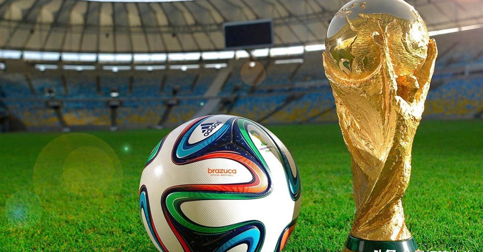 景与潜力 景与潜力