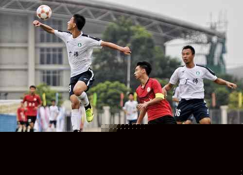 3秒内把概 3秒内把概